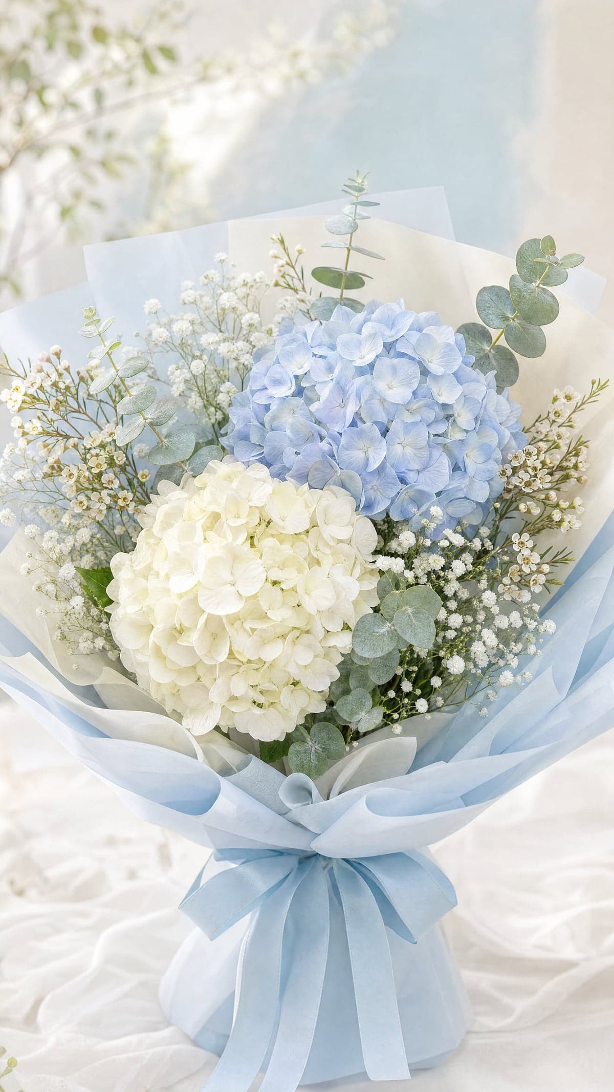 Hydrangea Dream